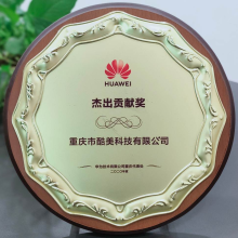 2020-華為-杰出貢獻(xiàn)獎