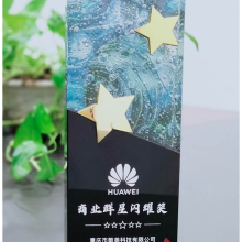 2022-華為-商業(yè)群星閃耀獎