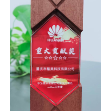 2023-華為-重大貢獻(xiàn)獎